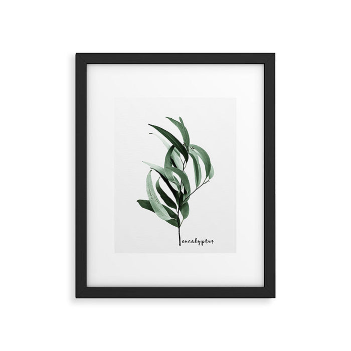 Eucalyptus - Australian gum tree Framed Art Print Gallery Image 1