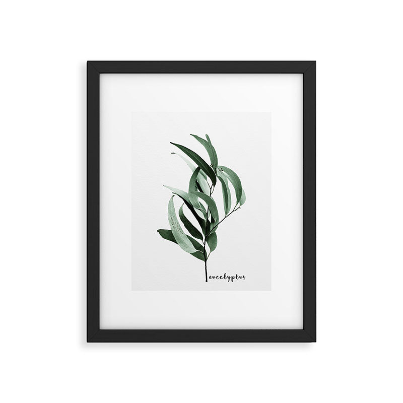 Eucalyptus - Australian gum tree Framed Art Print Gallery Image 4