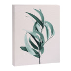 Eucalyptus II - Australian gum tree Canvas Print Gallery Image 6