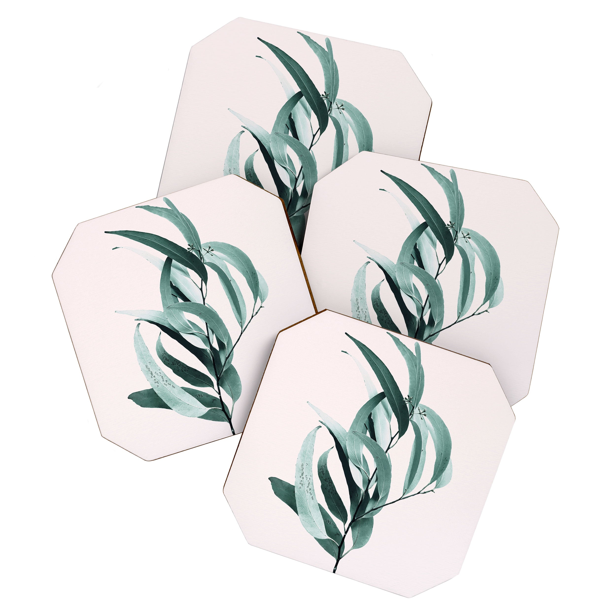 Eucalyptus II - Australian gum tree Coaster Gallery Image 1