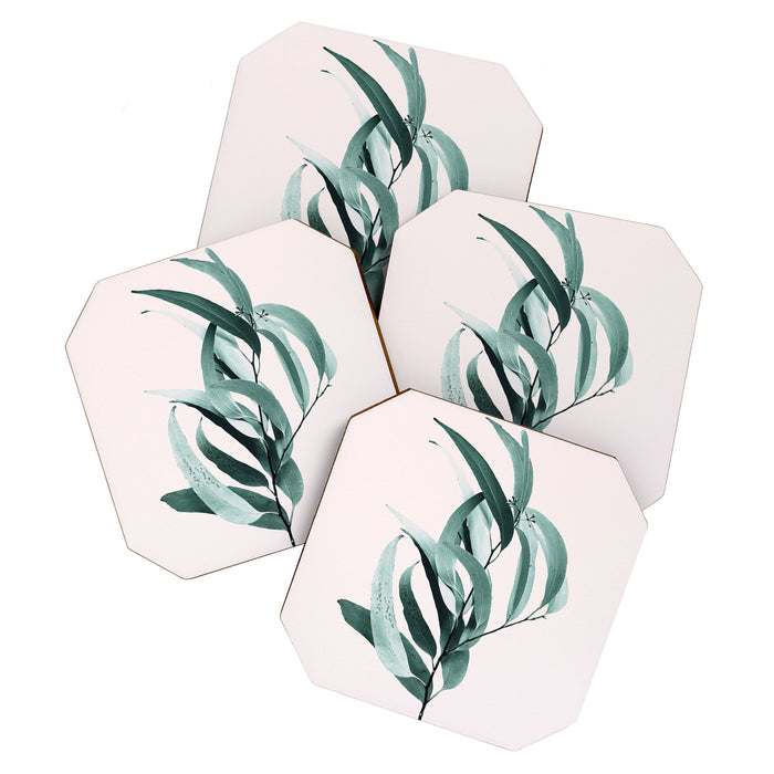 Eucalyptus II - Australian gum tree Coaster Gallery Image 1