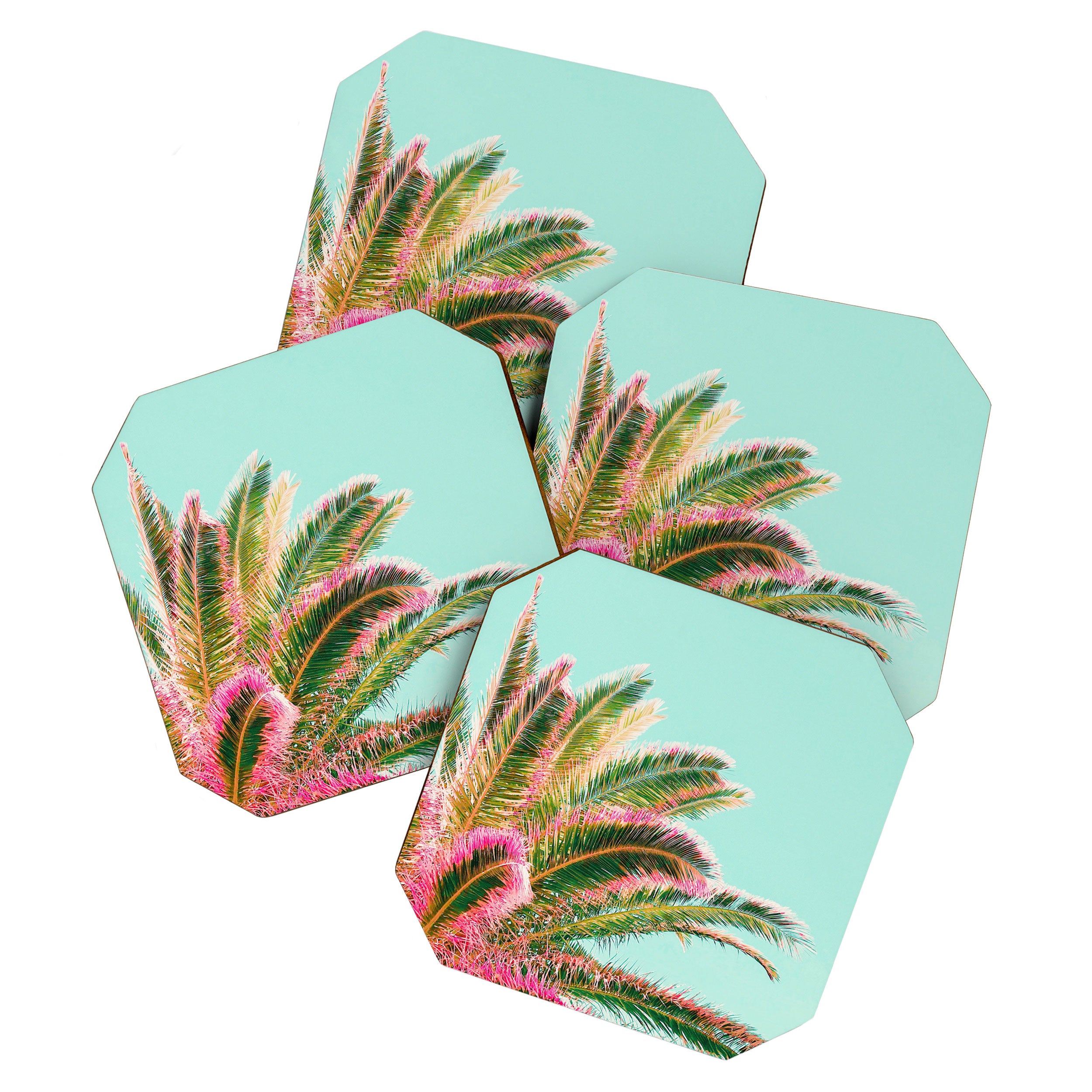 Fiesta palms Coaster Gallery Image 1