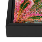 Fiesta palms Framed Canvas Print Gallery Image 3