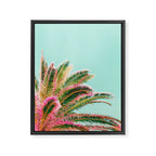 Fiesta palms Framed Canvas Print Gallery Image 6