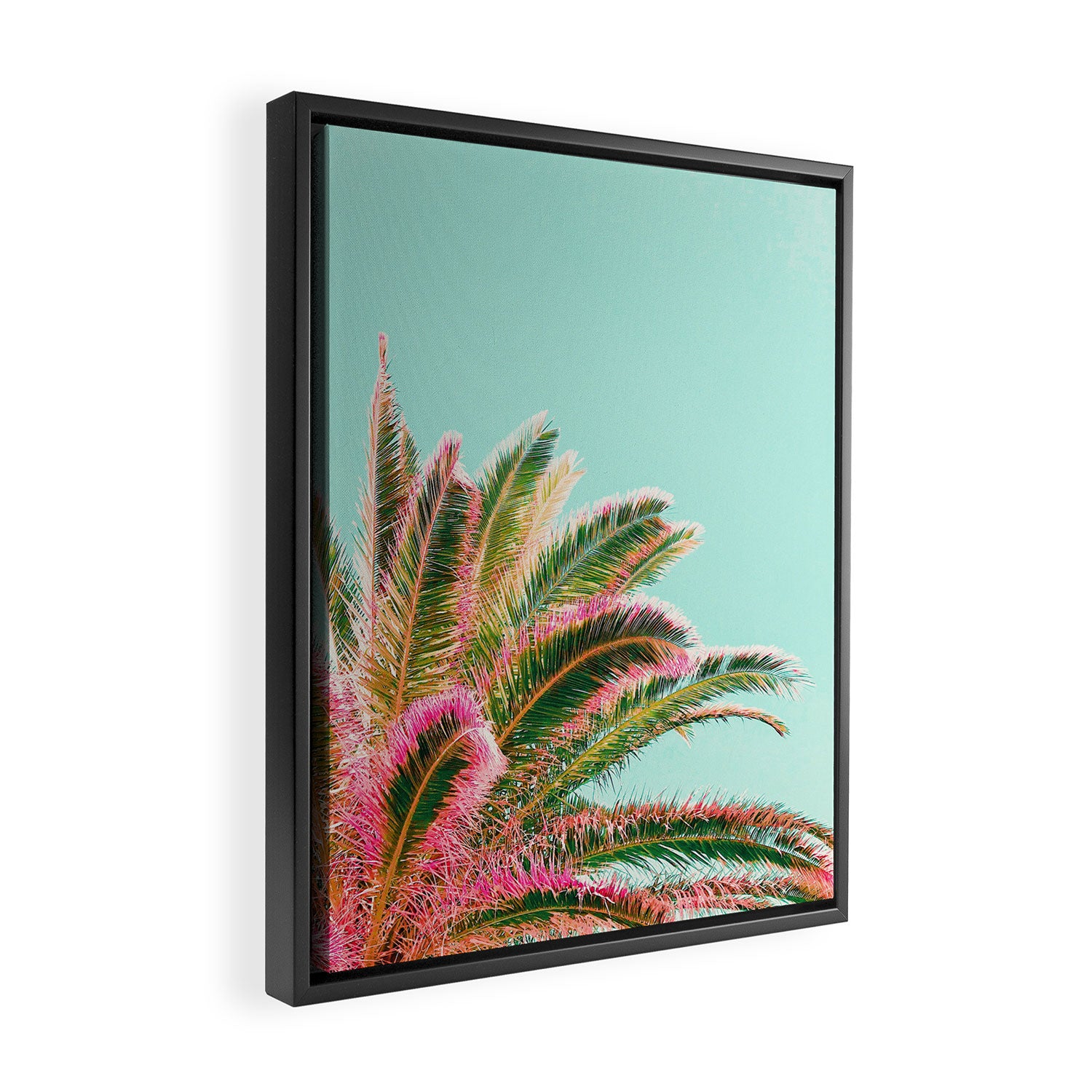 Fiesta palms Framed Canvas Print Gallery Image 2