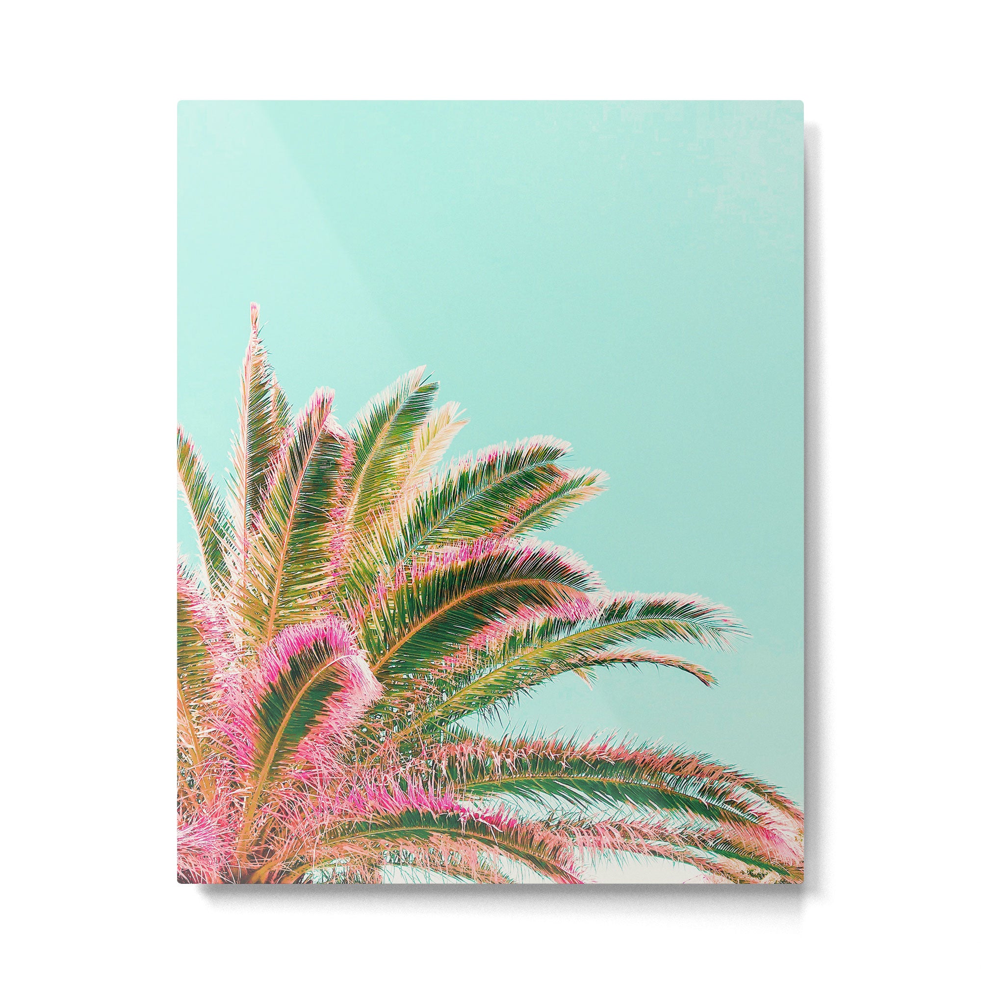 Fiesta palms Metal Print Gallery Image 4