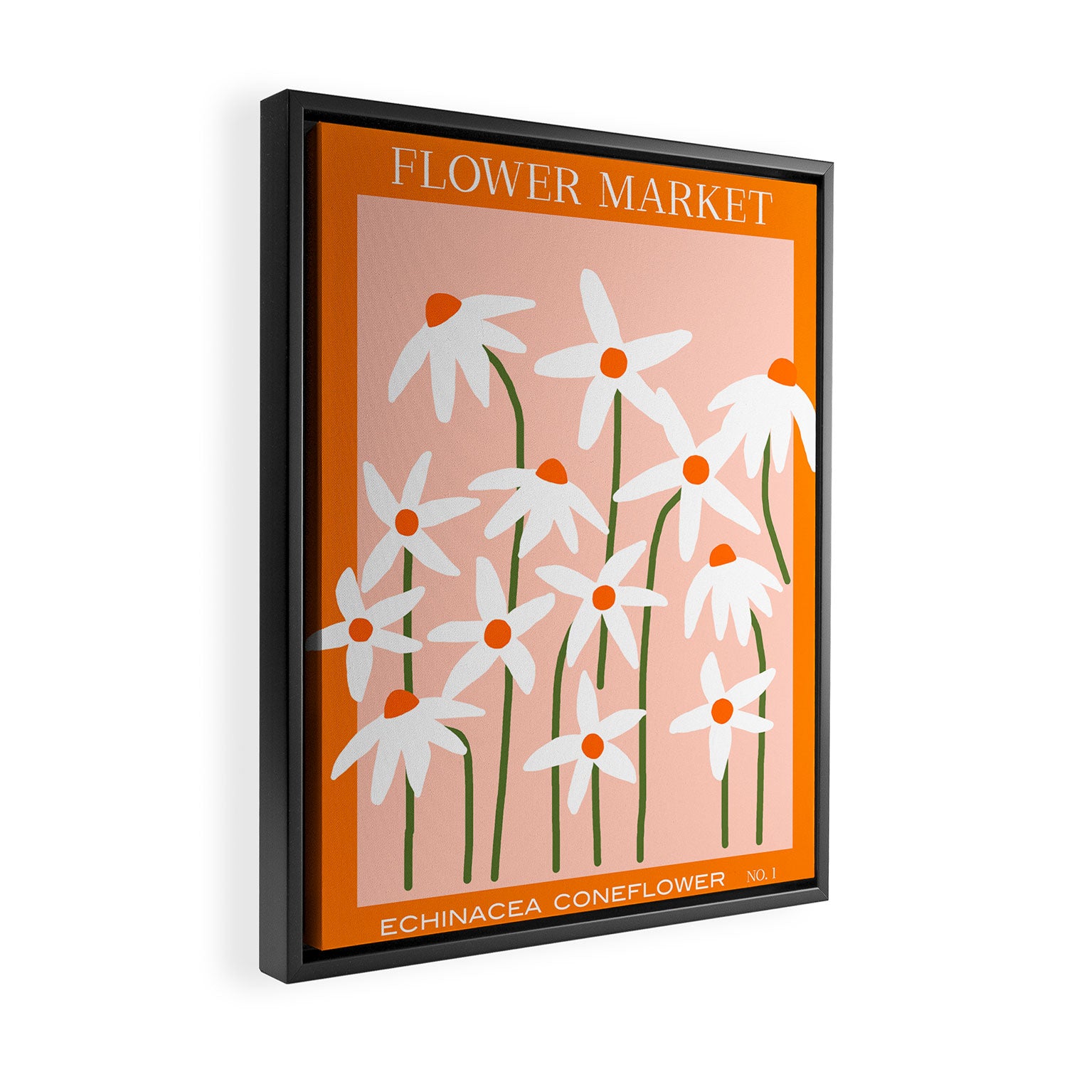 Flower Market - Echinacea #1 Framed Canvas Print Gallery Image 2