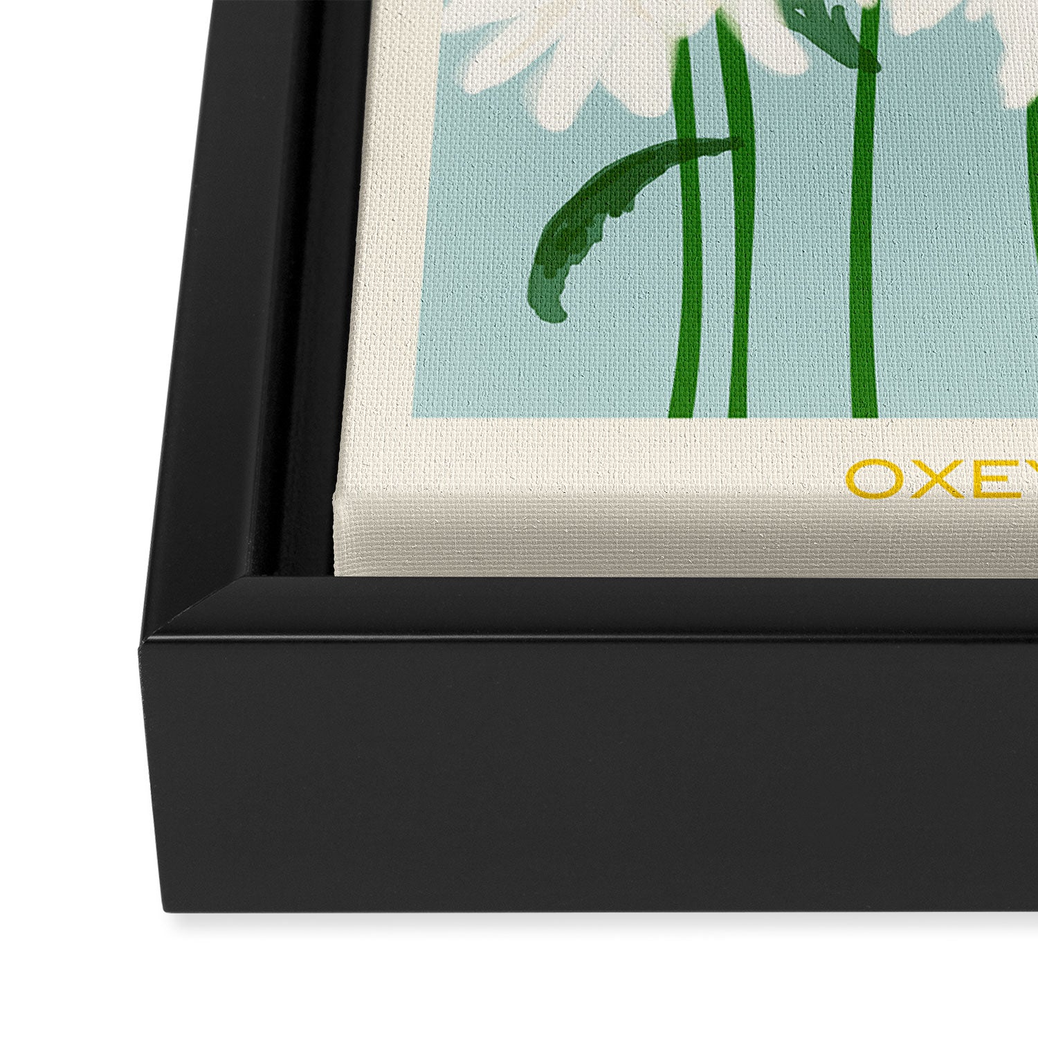 Flower Market - Oxeye daisies Framed Canvas Print Gallery Image 3