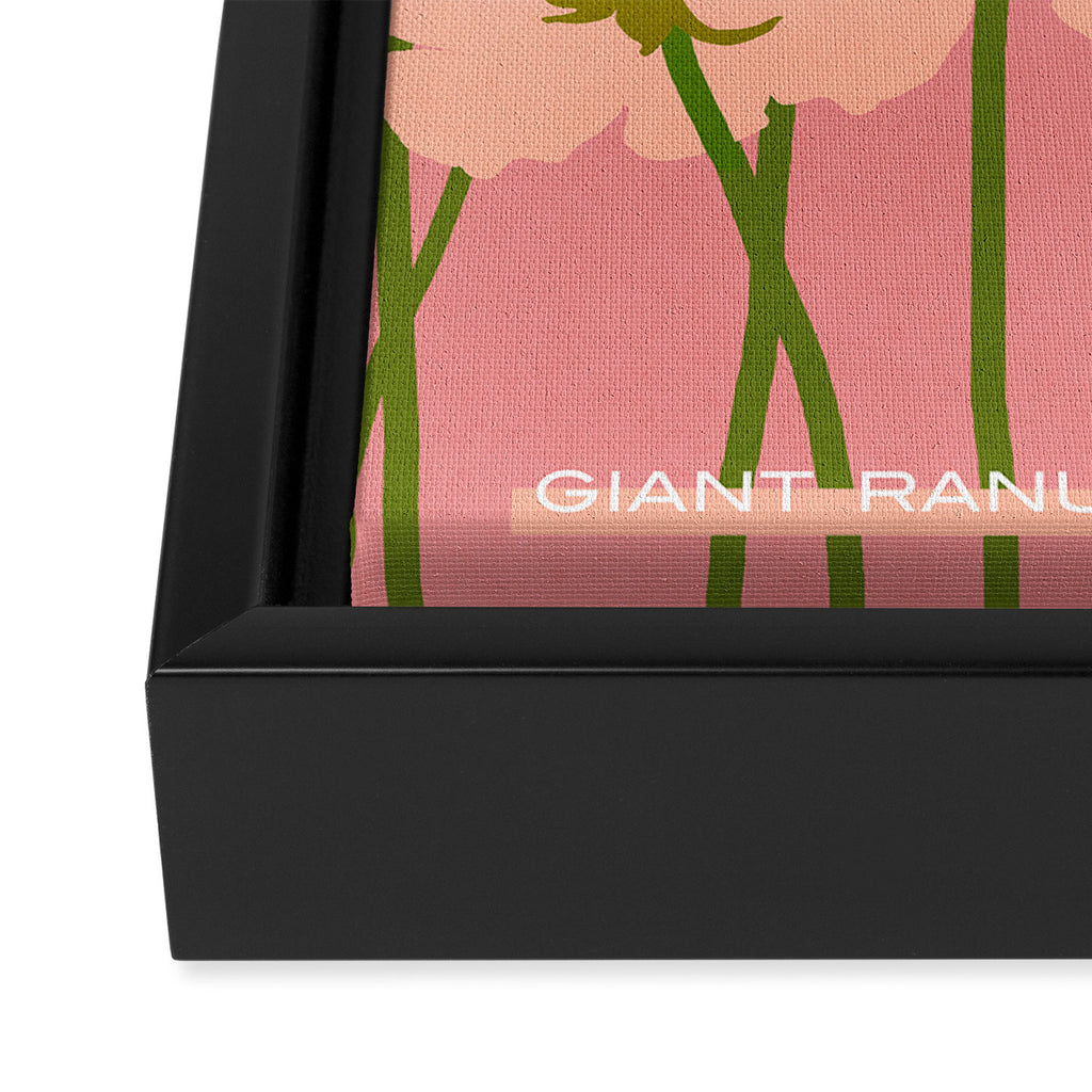 Flower Market - Ranunculus #2 Framed Canvas Print Gallery Image 3