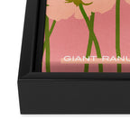 Flower Market - Ranunculus #2 Framed Canvas Print Gallery Image 3