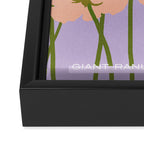 Flower Market - Ranunculus #3 Framed Canvas Print Gallery Image 3