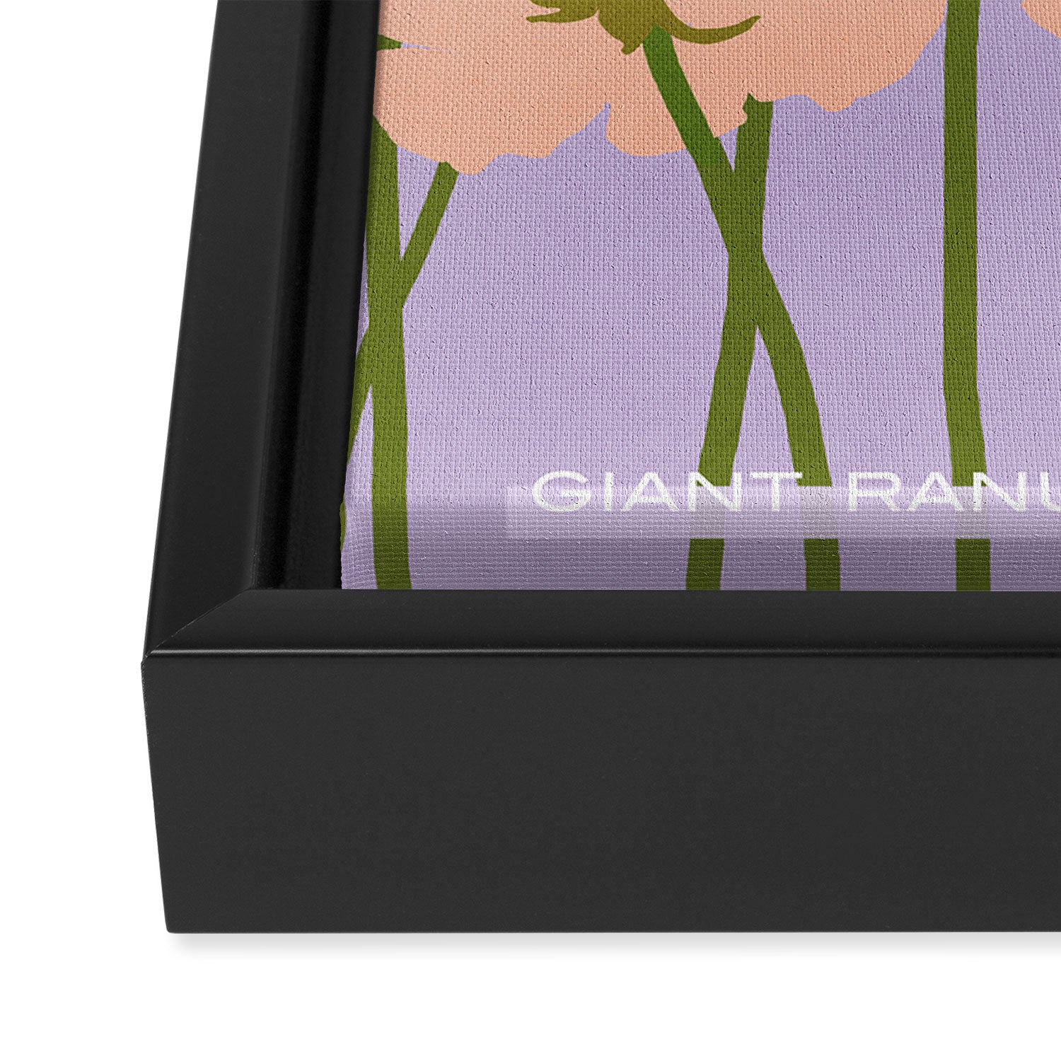 Flower Market - Ranunculus #3 Framed Canvas Print Gallery Image 3
