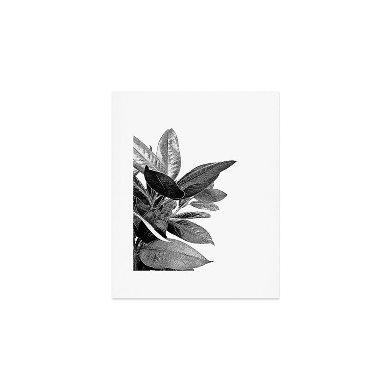 Grandiflora II - bw Art Print Gallery Image 1