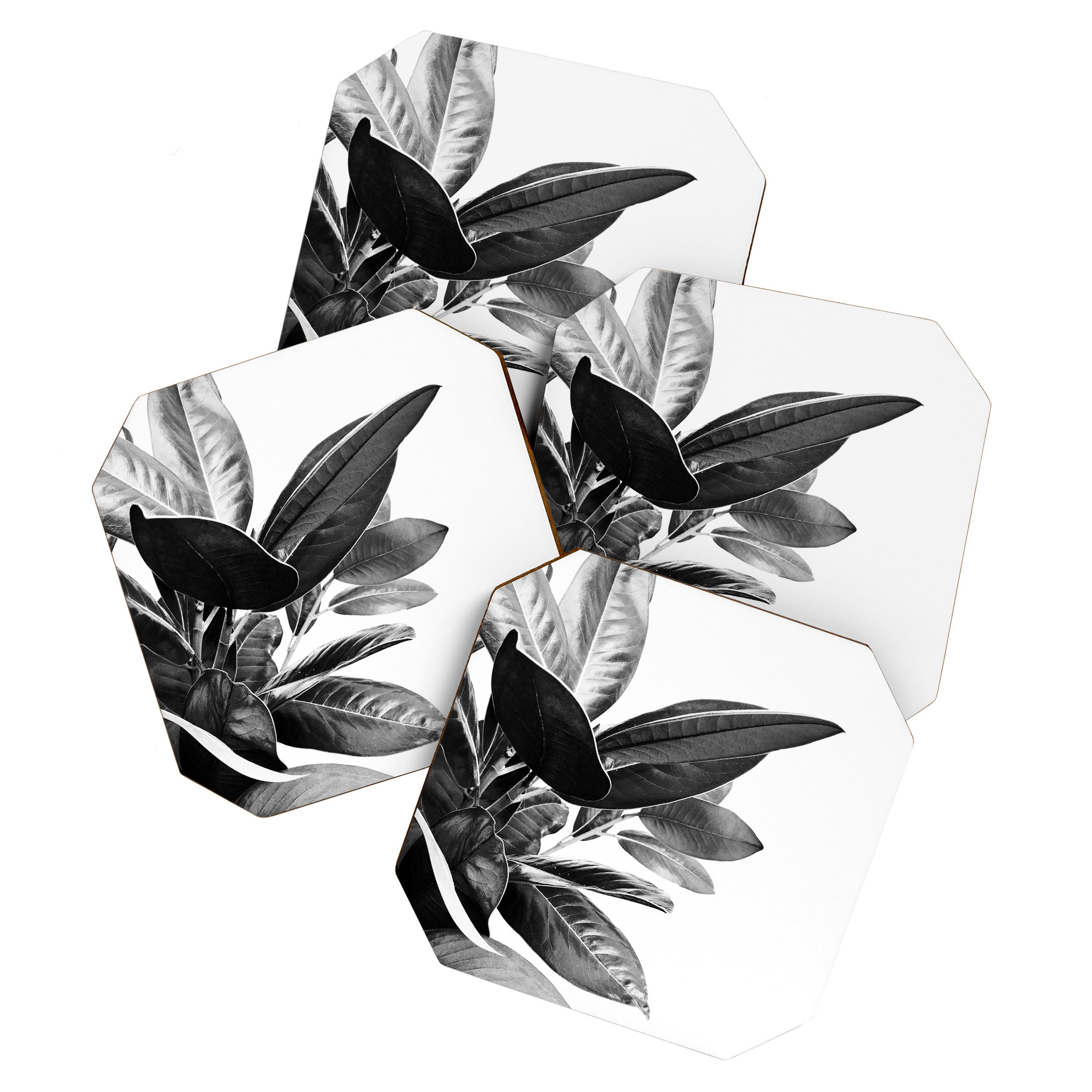 Grandiflora II - bw Coaster Gallery Image 1