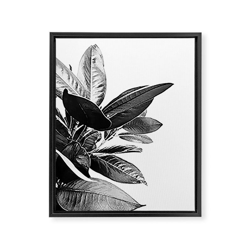 Grandiflora II - bw Framed Canvas Print Gallery Image 6