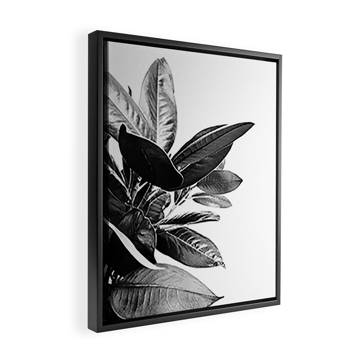 Grandiflora II - bw Framed Canvas Print Gallery Image 2