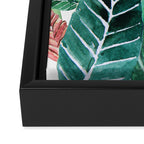 Havana jungle Framed Canvas Print Gallery Image 3