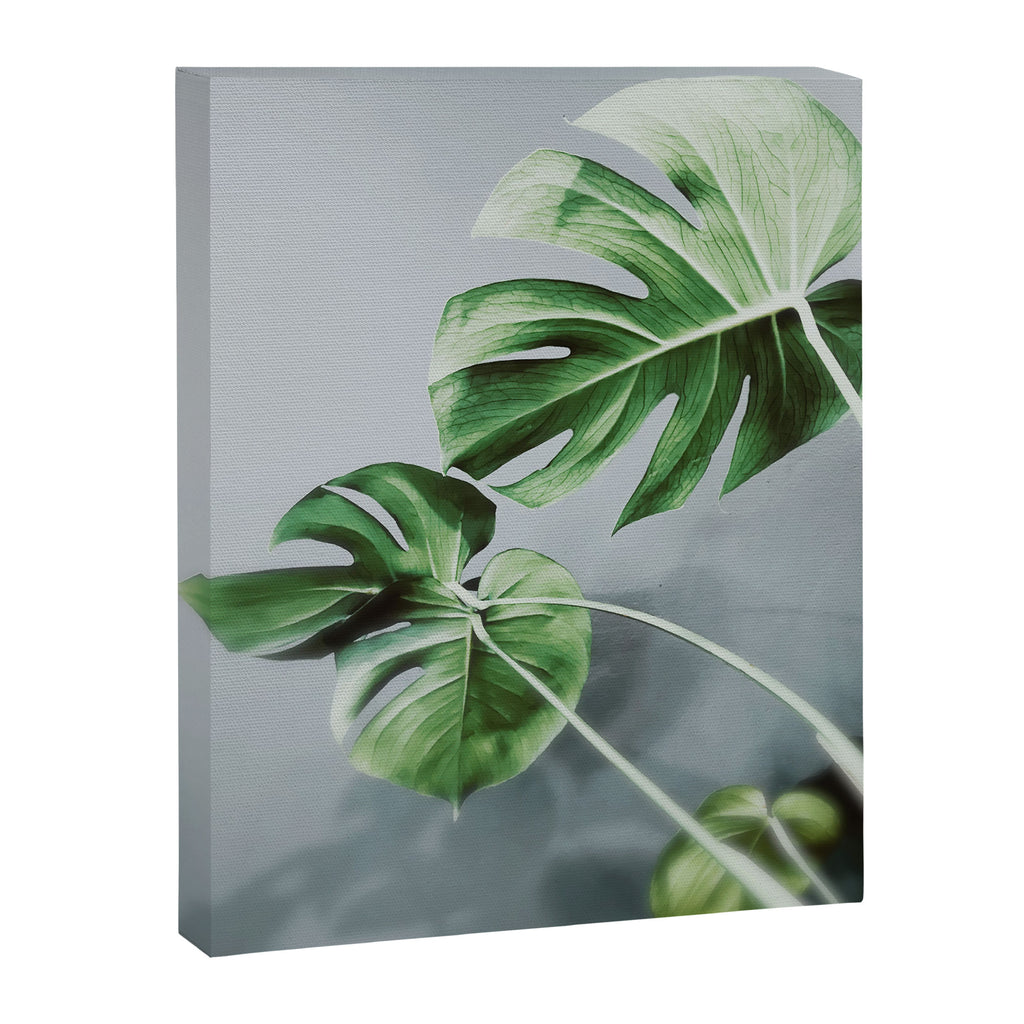 Monstera Leaves Canvas Print Gallery Image 6