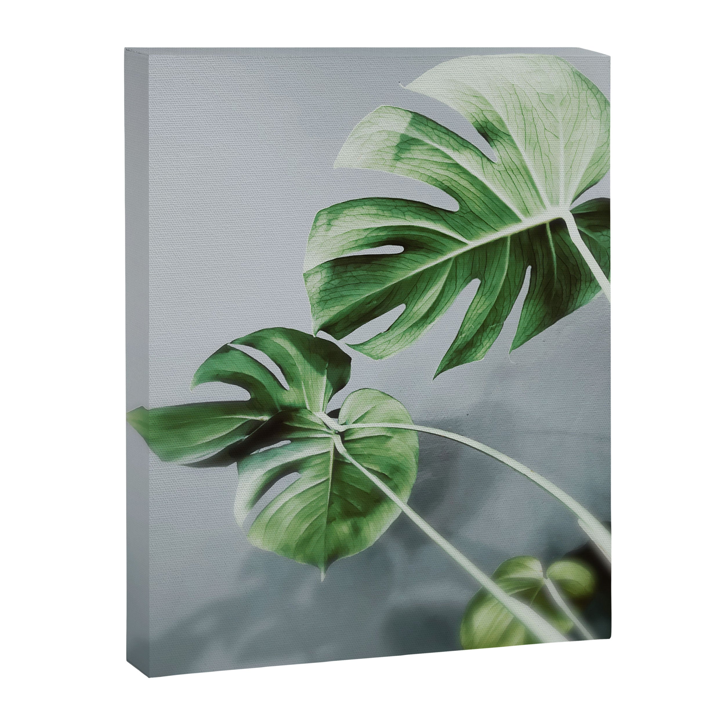 Monstera Leaves Canvas Print Gallery Image 6