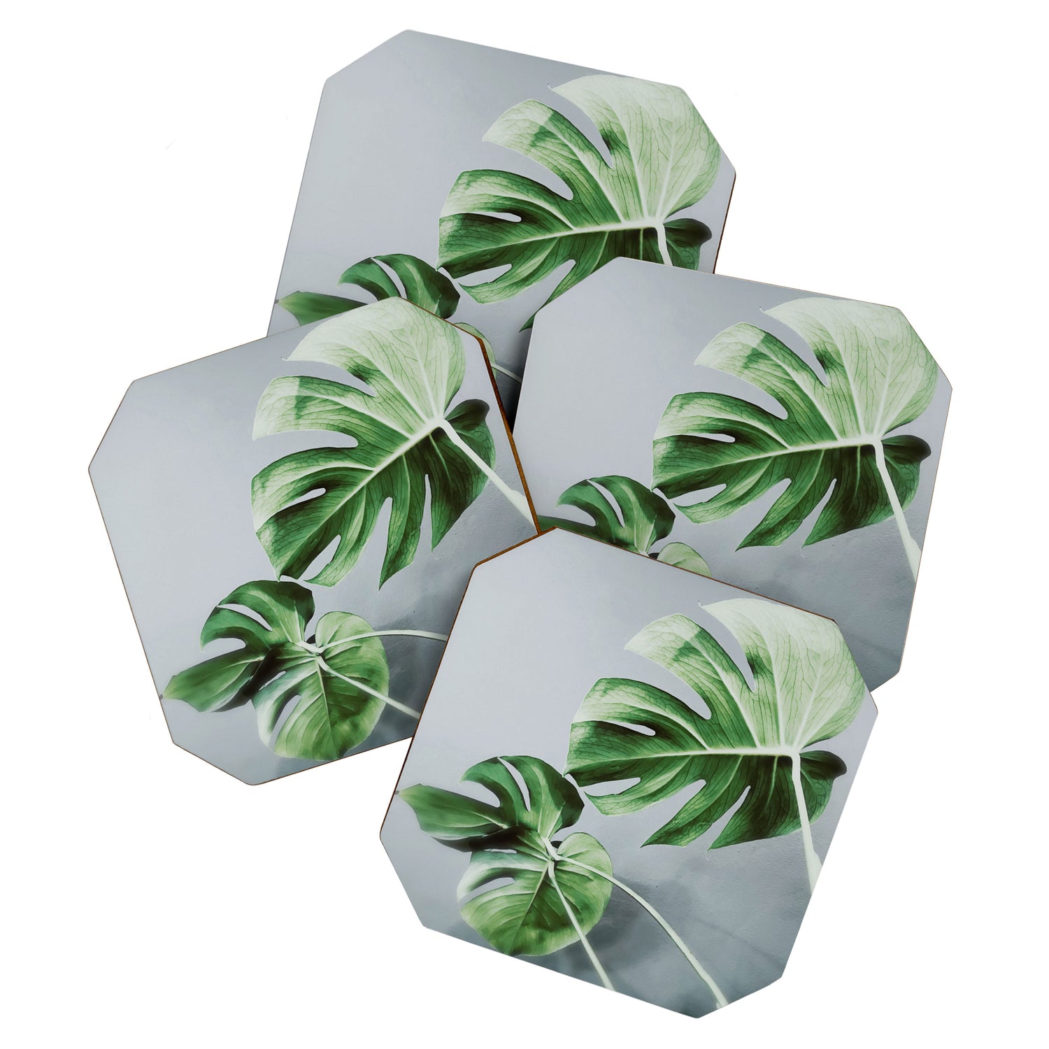 Monstera Leaves Coaster Gallery Image 1