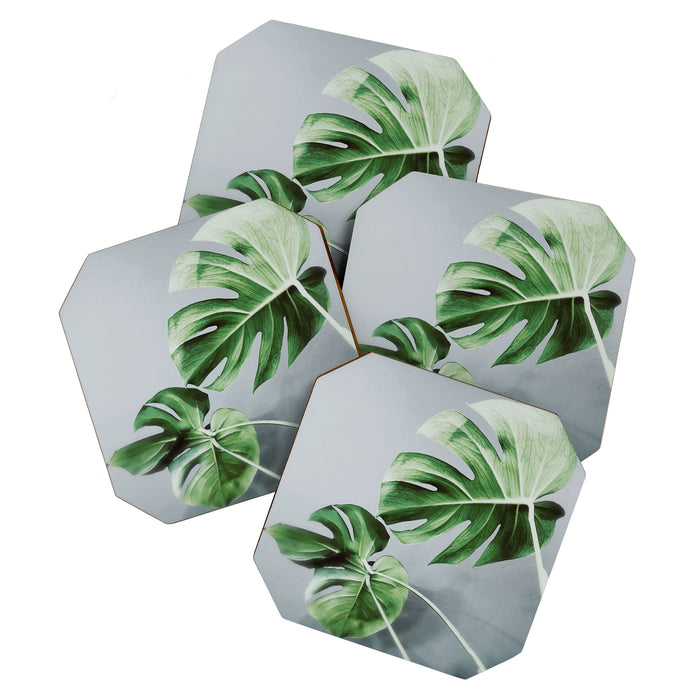 Monstera Leaves Coaster Gallery Image 1