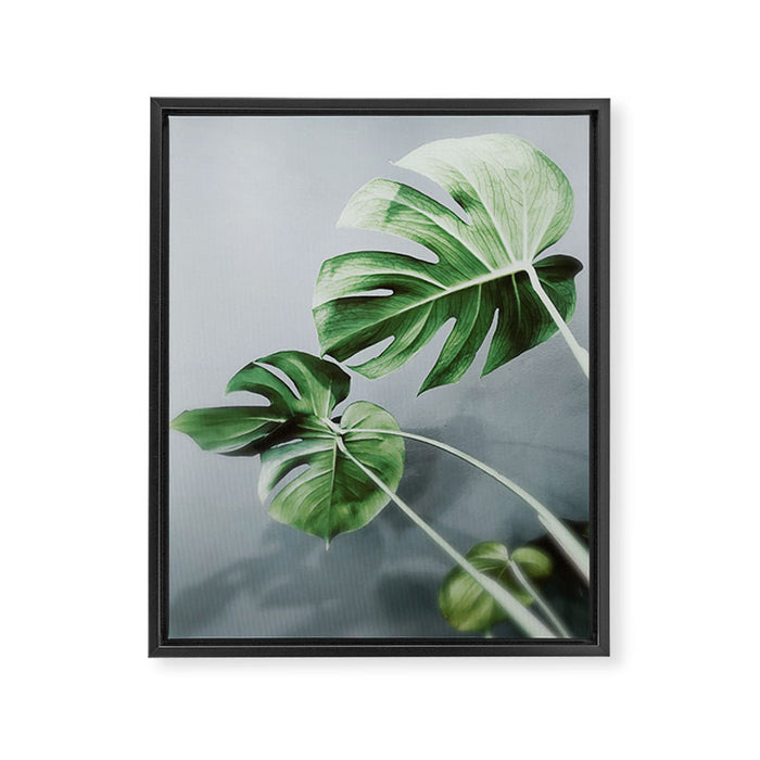 Monstera Leaves Framed Canvas Print Gallery Image 1