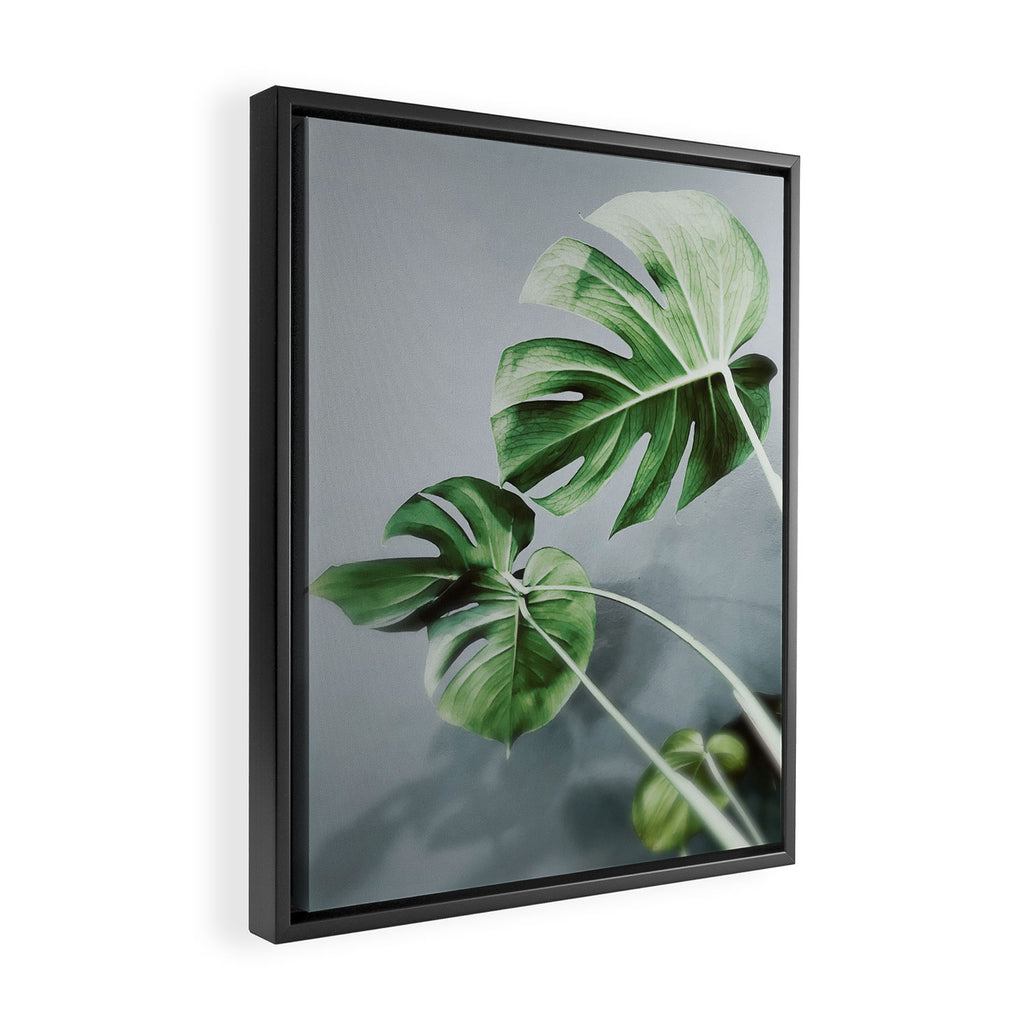 Monstera Leaves Framed Canvas Print Gallery Image 2