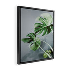 Monstera Leaves Framed Canvas Print Gallery Image 2