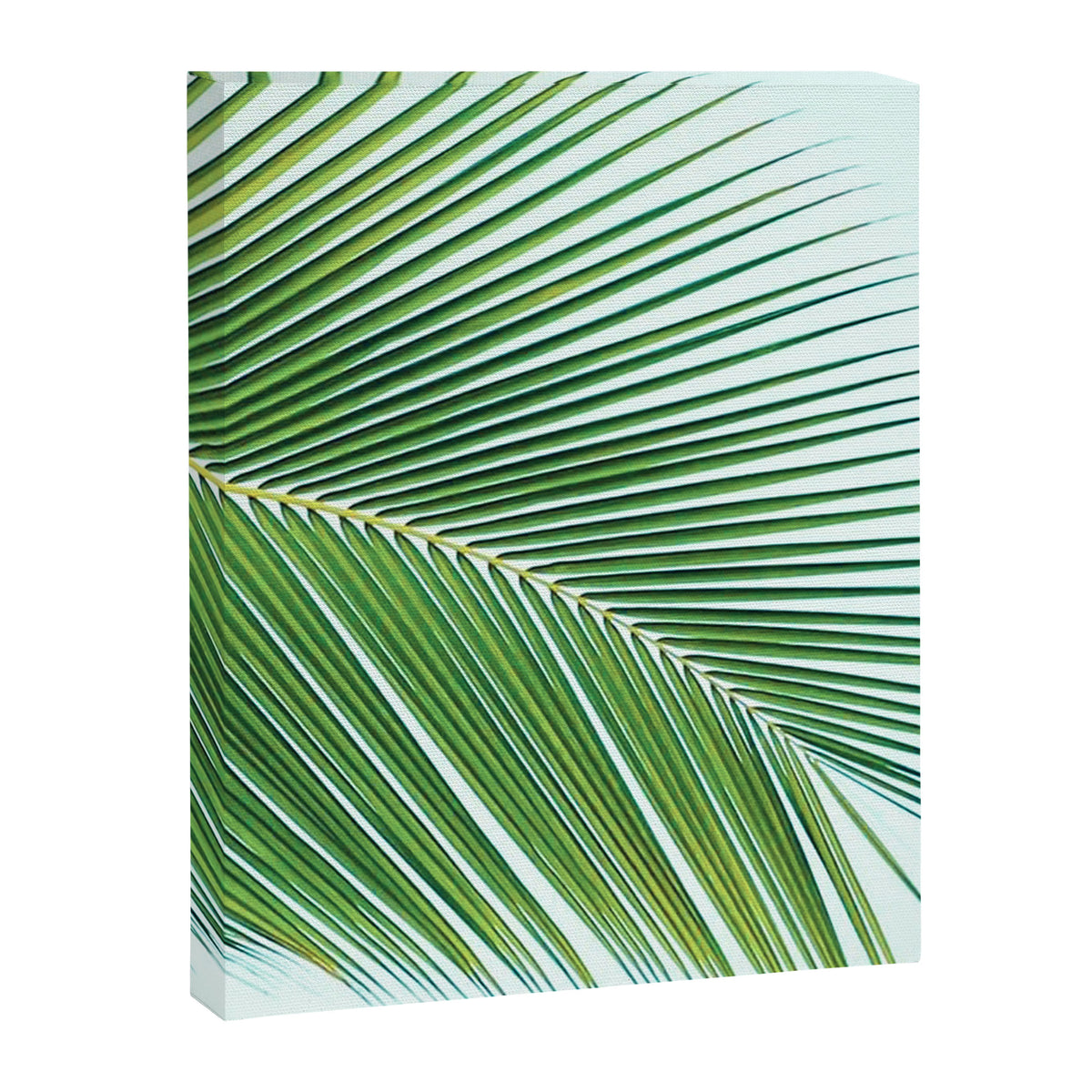 Palm leaf - greenery Canvas Print Gallery Image 8