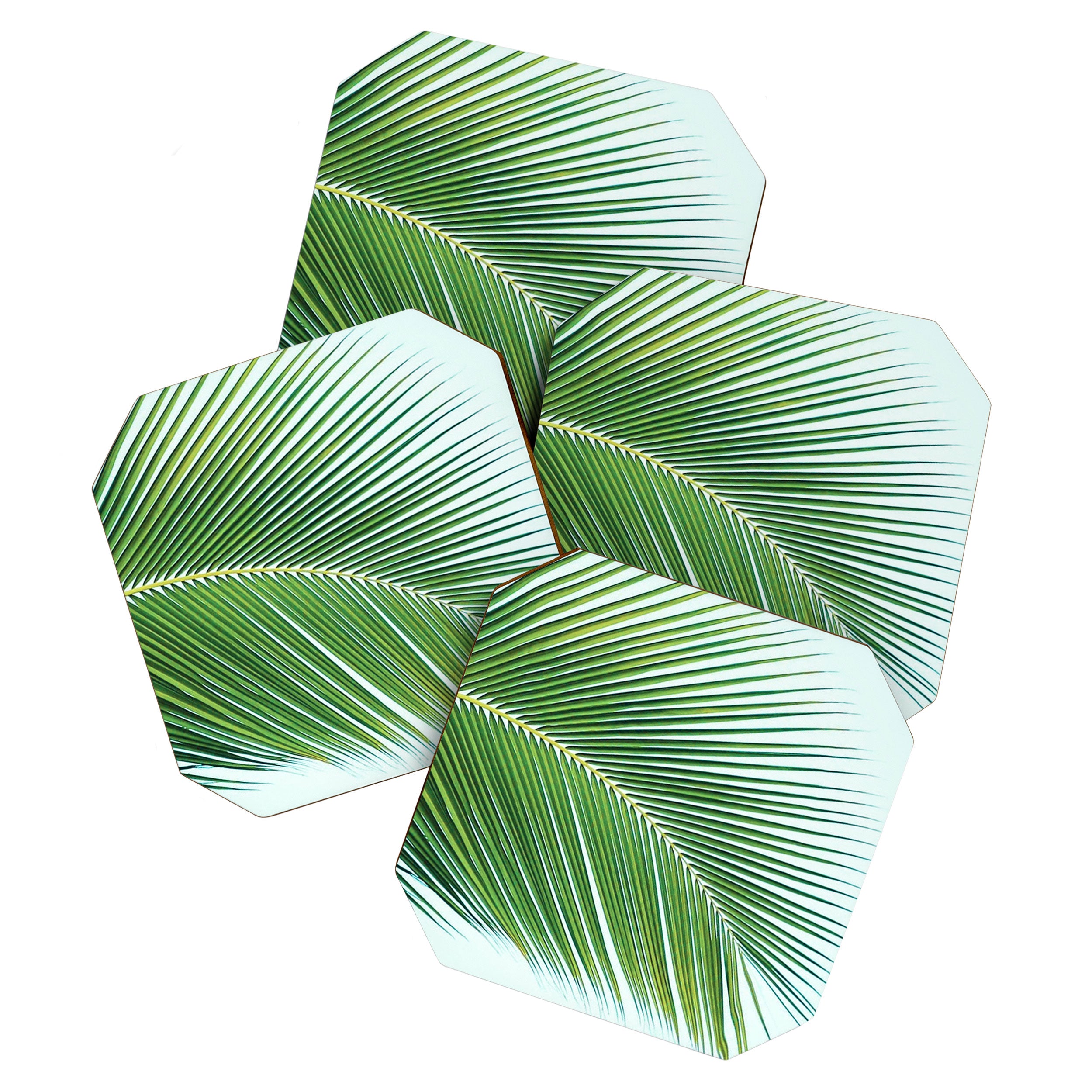 Palm leaf - greenery Coaster Gallery Image 1