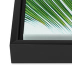 Palm leaf - greenery Framed Canvas Print Gallery Image 3