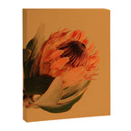 Protea - golden Canvas Print Gallery Image 6