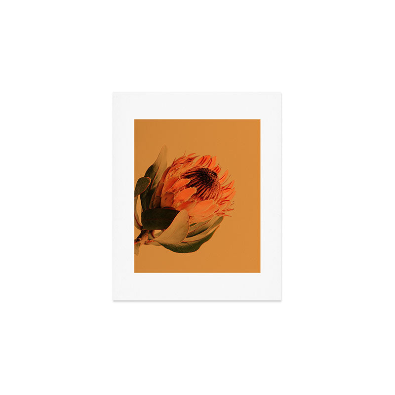 Protea - golden Art Print Gallery Image 1