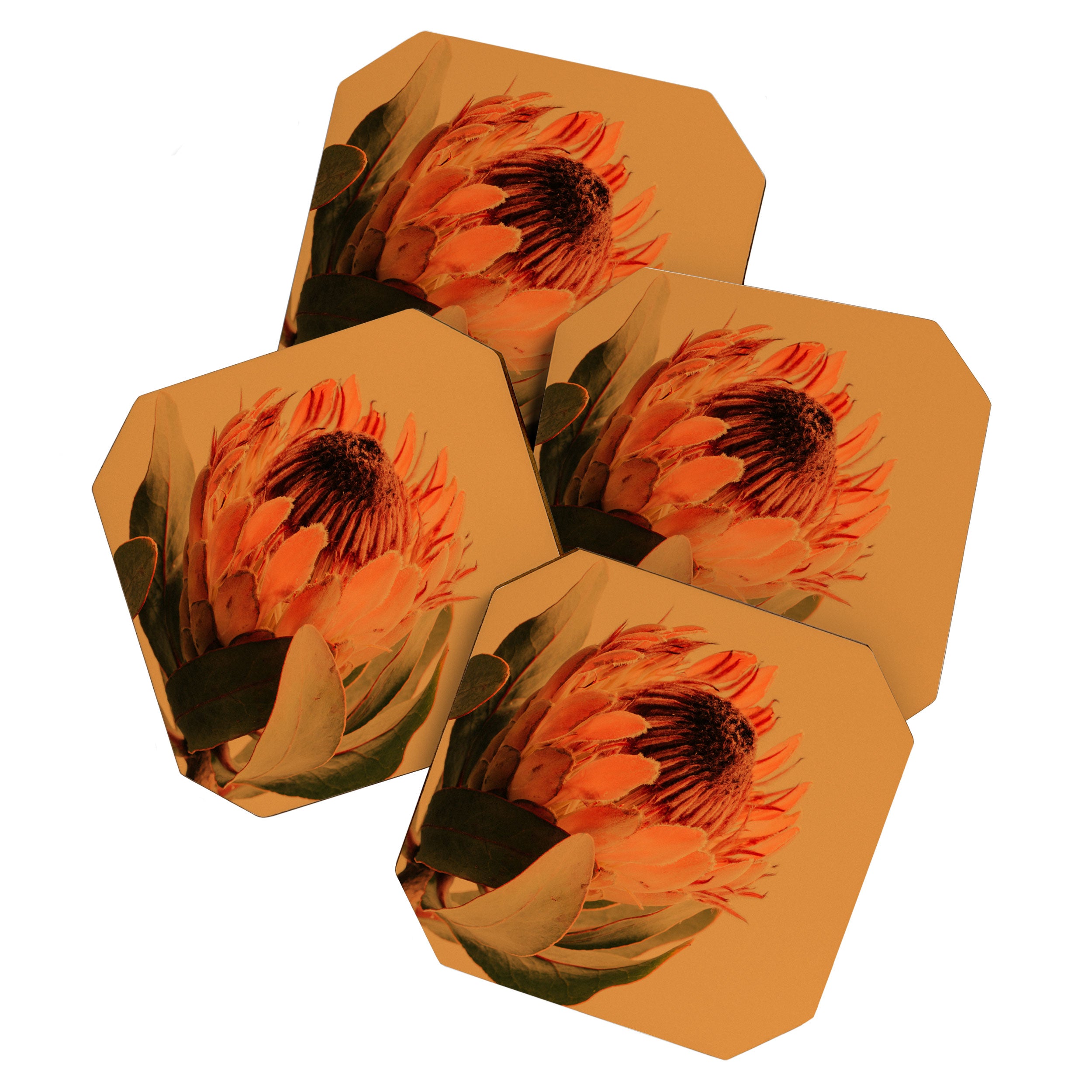 Protea - golden Coaster Gallery Image 1