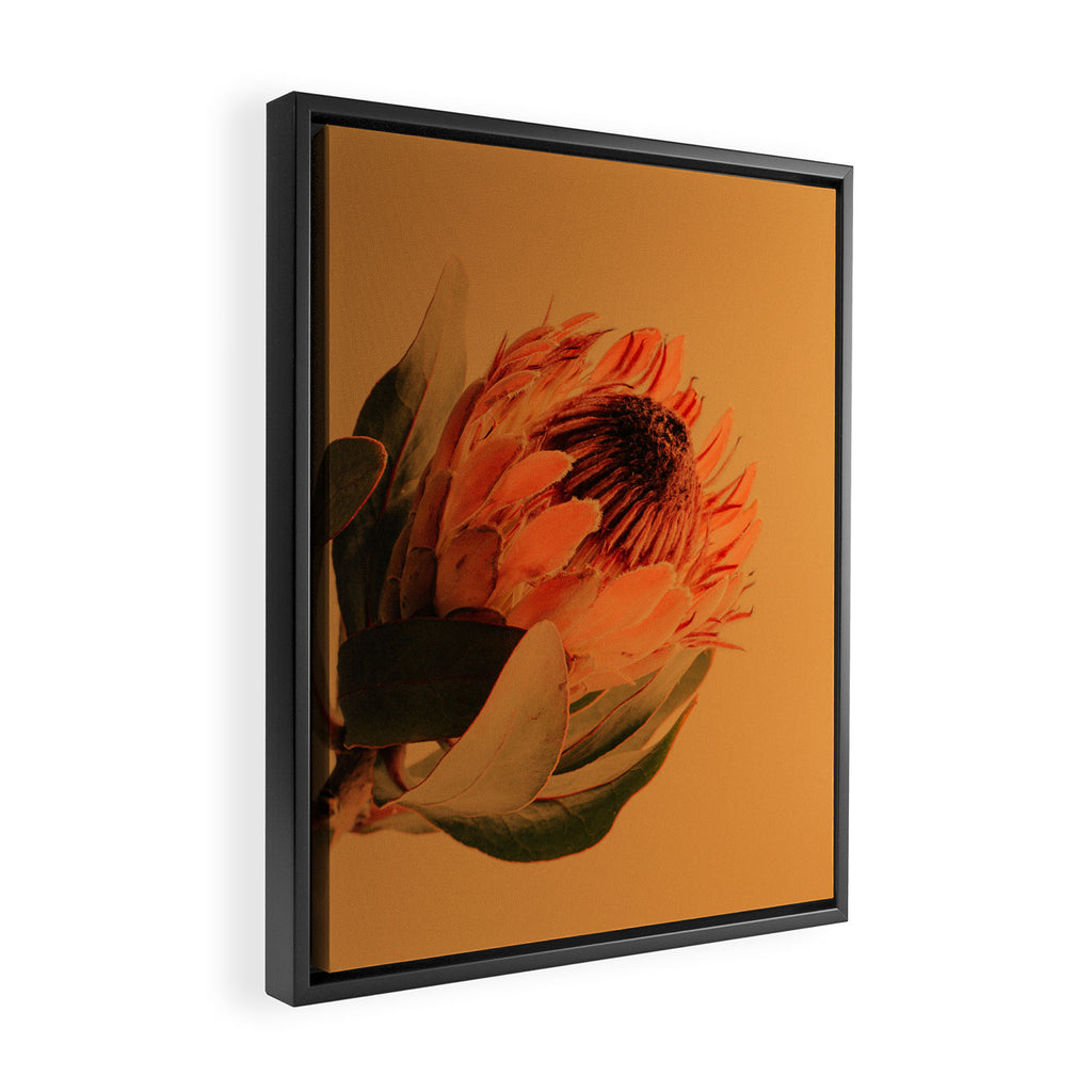 Protea - golden Framed Canvas Print Gallery Image 2