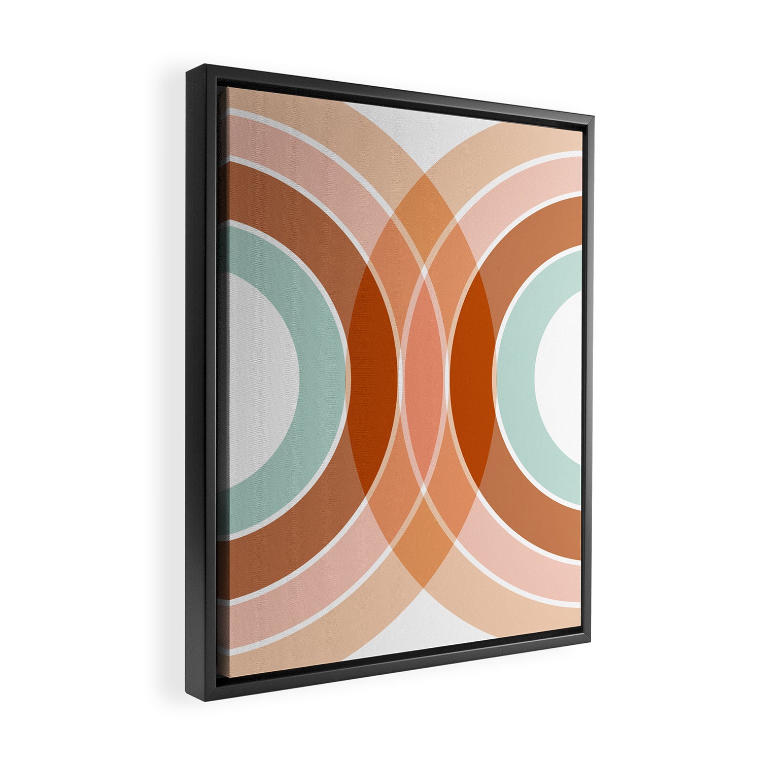 Rainbow reflection Framed Canvas Print Gallery Image 2