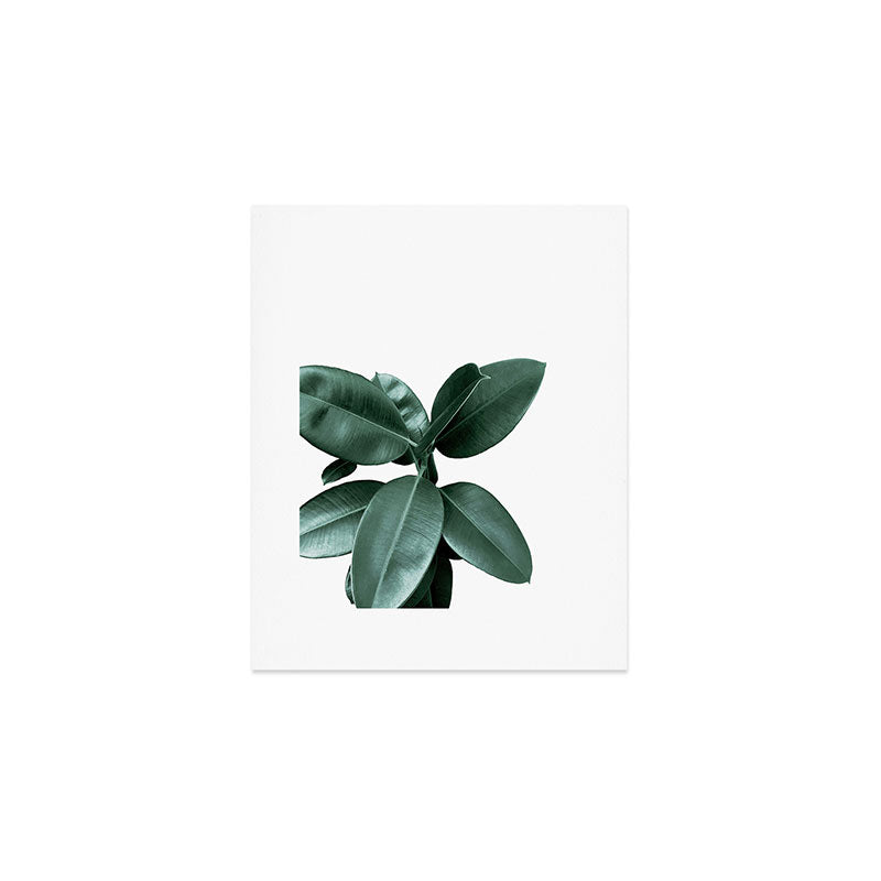 Rubber fig Plant Art Print Gallery Image 1