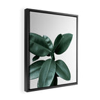 Rubber fig Plant Framed Canvas Print Gallery Image 2