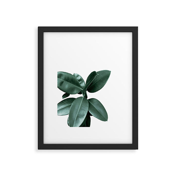 Rubber fig Plant Framed Art Print Gallery Image 1
