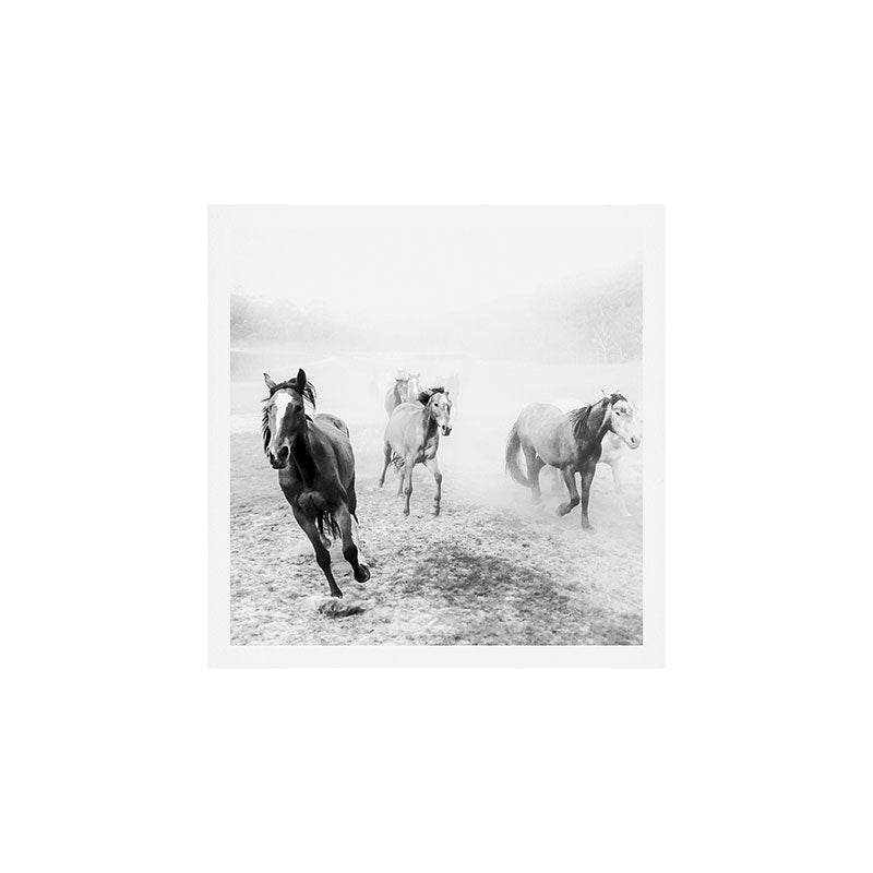 Running with the horses Art Print Gallery Image 1