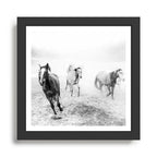 Running with the horses Framed Art Print Gallery Image 1