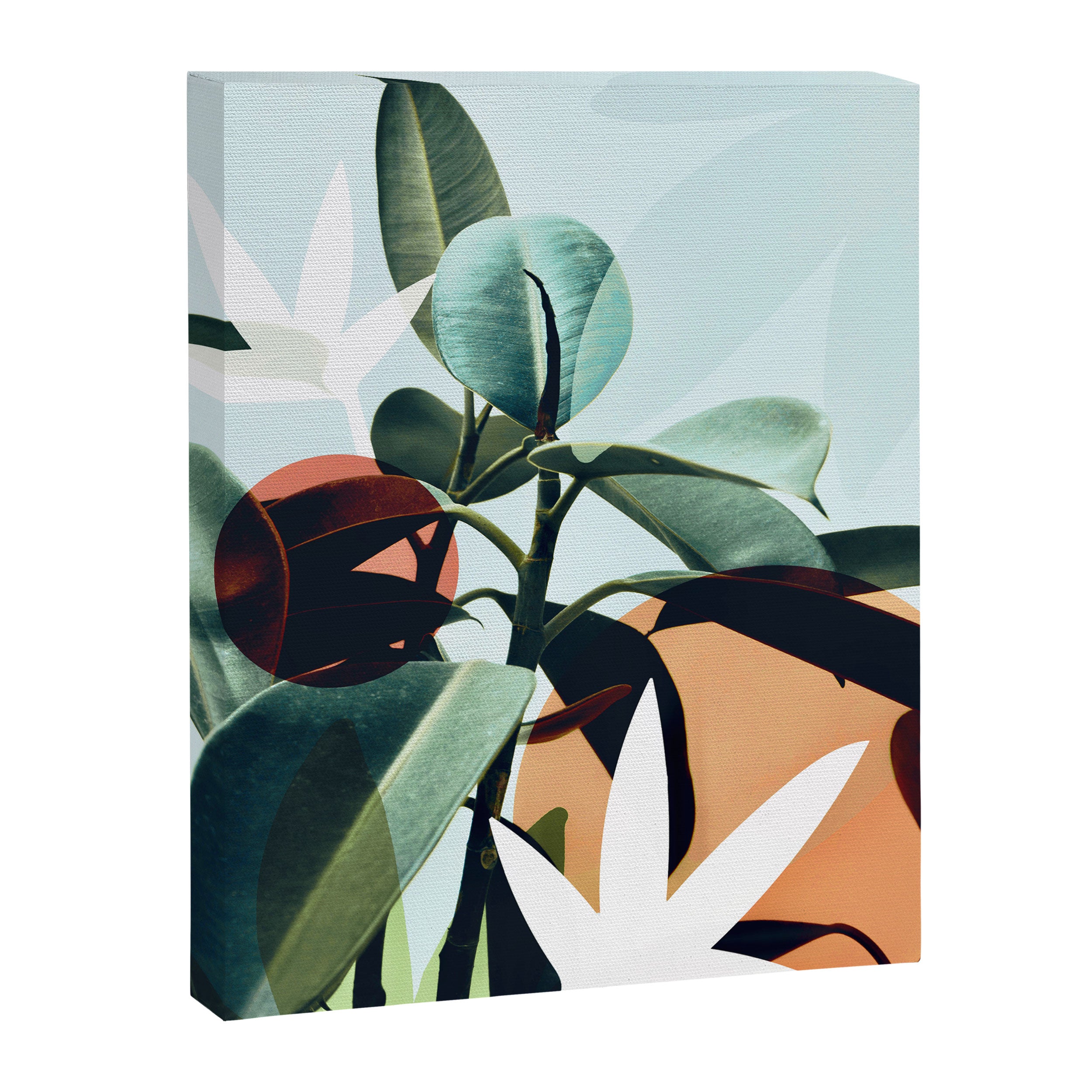 Simpatico Canvas Print Gallery Image 8