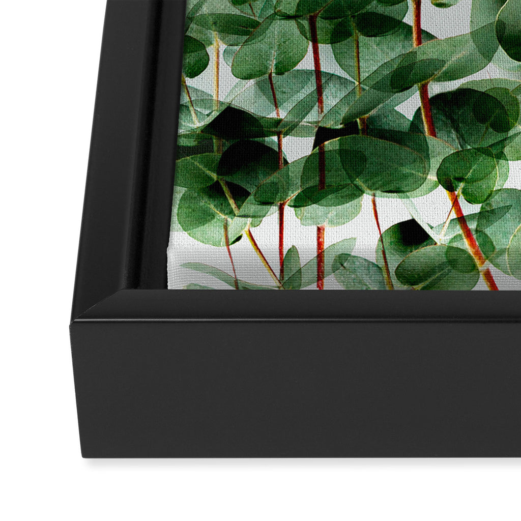 Simpatico V4 Framed Canvas Print Gallery Image 3