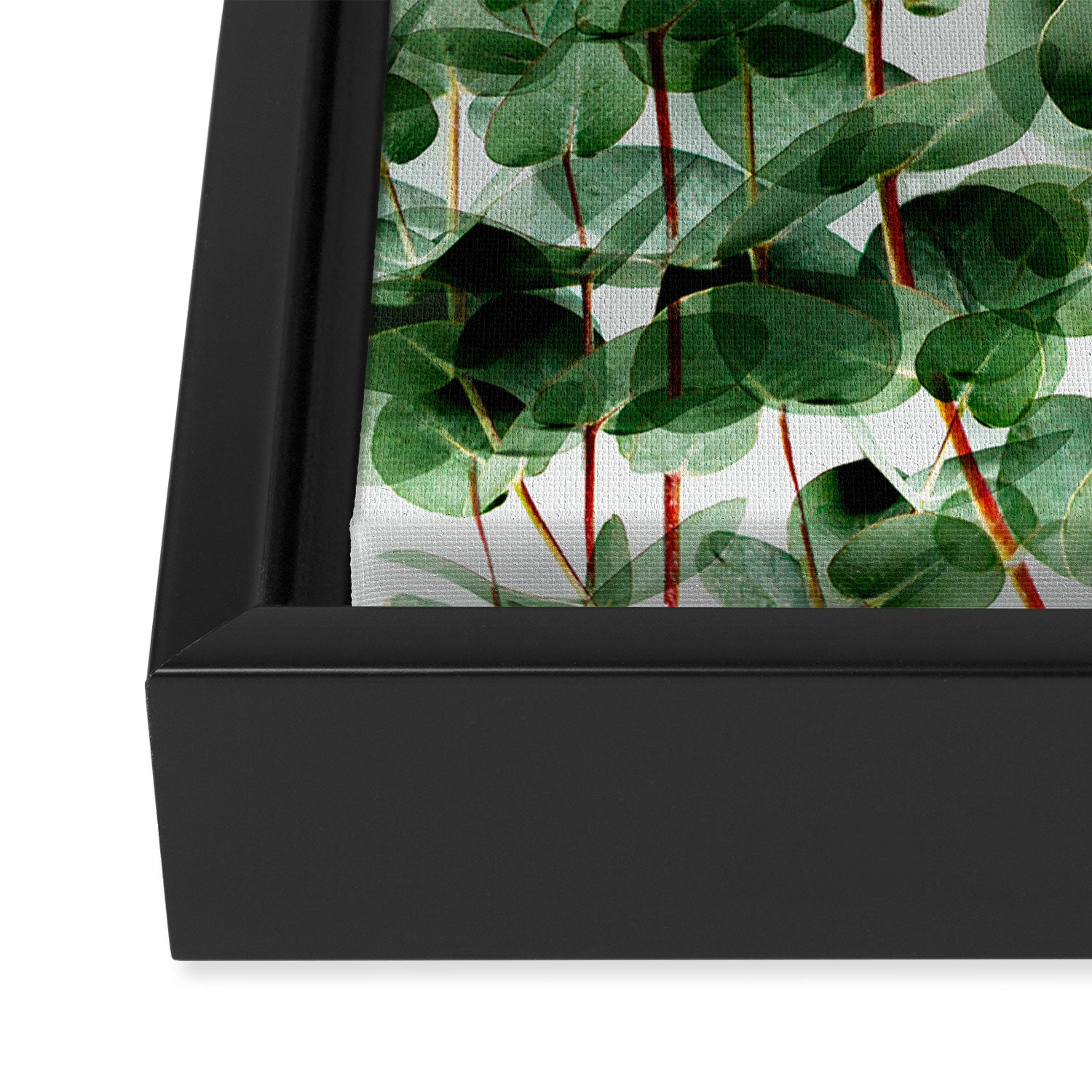 Simpatico V4 Framed Canvas Print Gallery Image 3