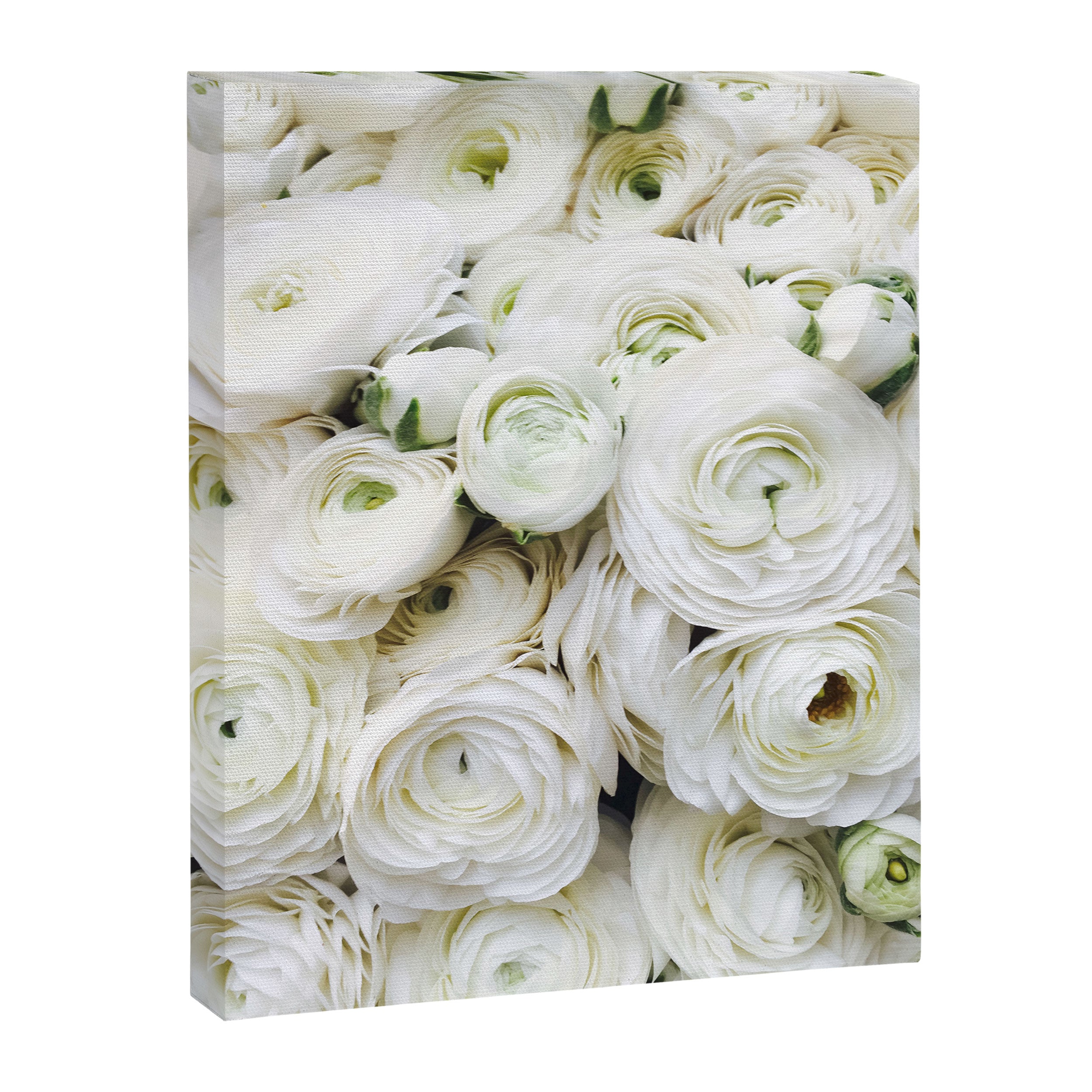 Splendour Canvas Print Gallery Image 6