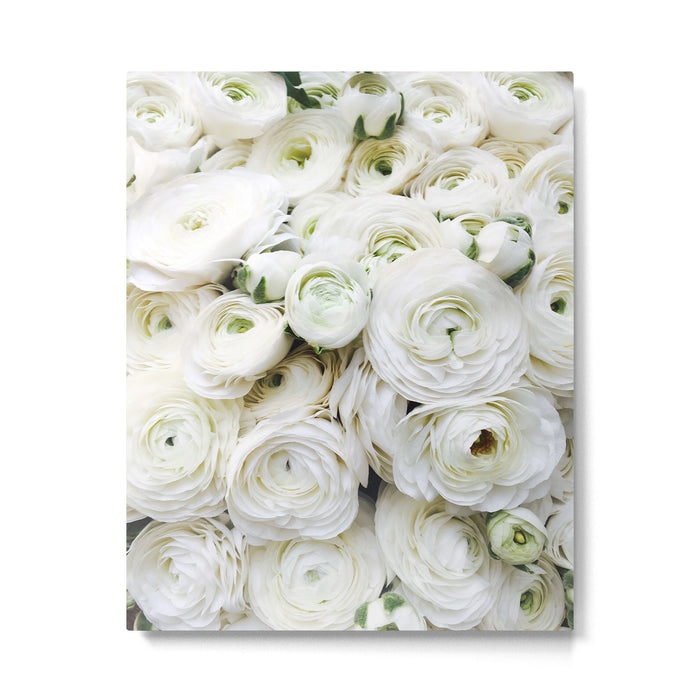 Splendour Metal Print Gallery Image 1