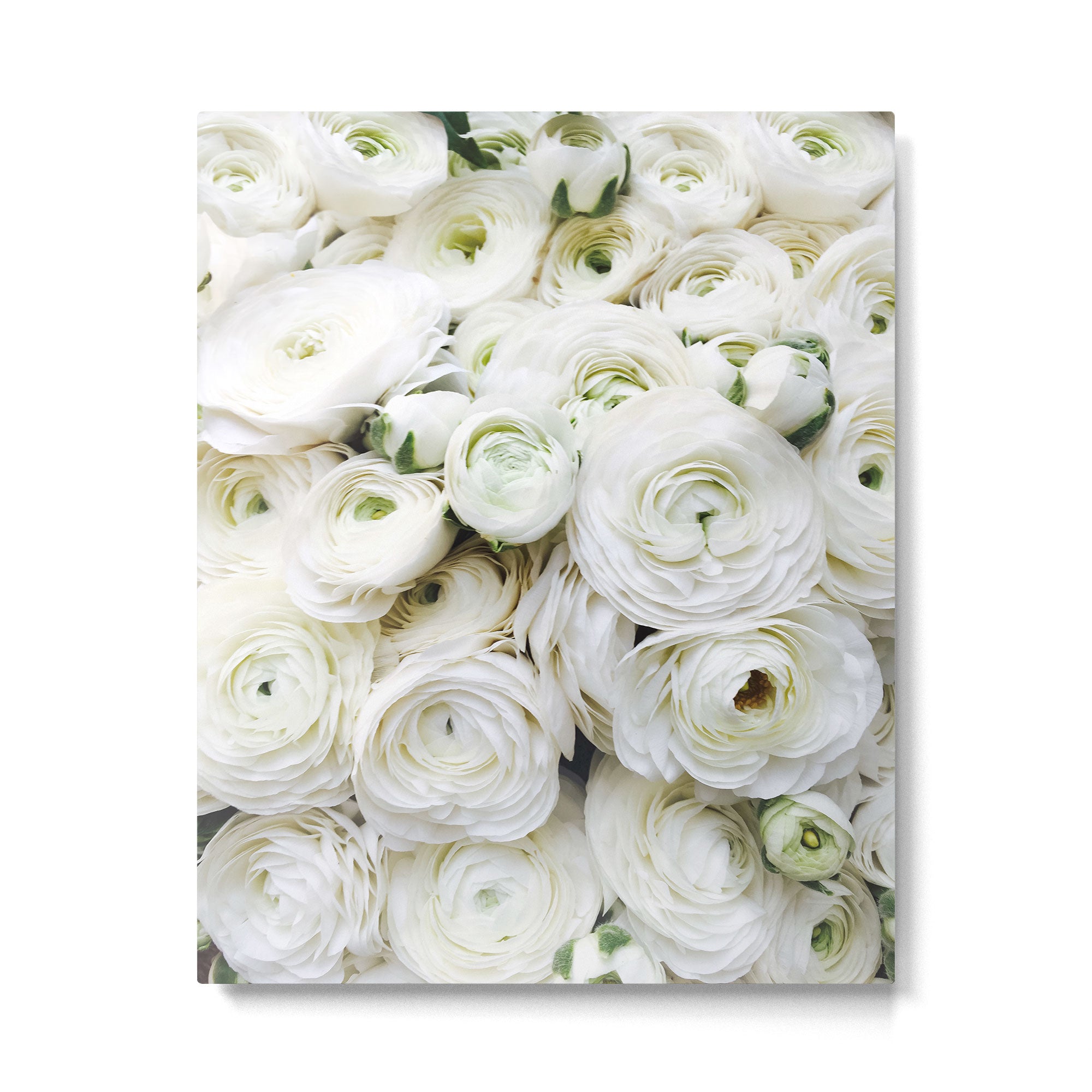 Splendour Metal Print Gallery Image 4