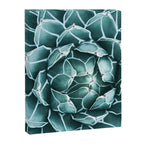 Succulent bloom Canvas Print Gallery Image 8
