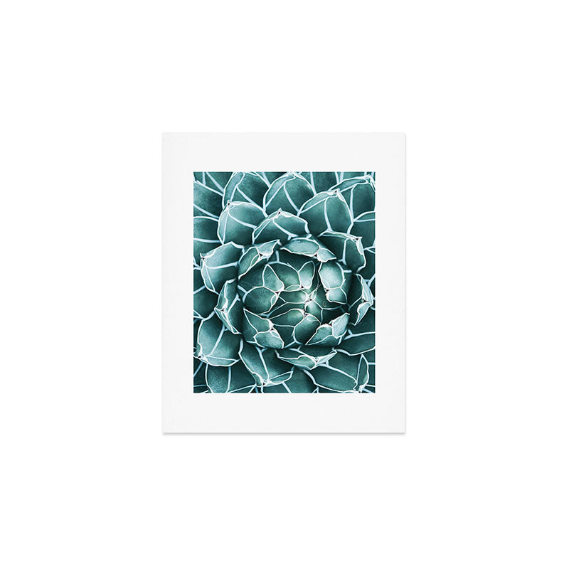 Succulent bloom Art Print Gallery Image 1