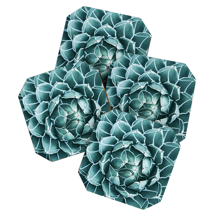 Succulent bloom Coaster Gallery Image 1